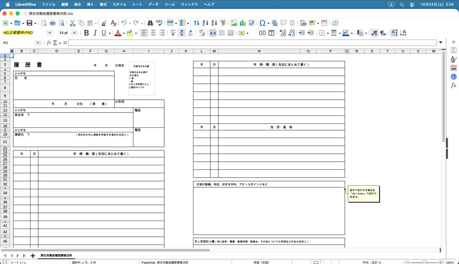 厚生労働省の履歴書(古い .xls)も、罫線と枠がそのまま